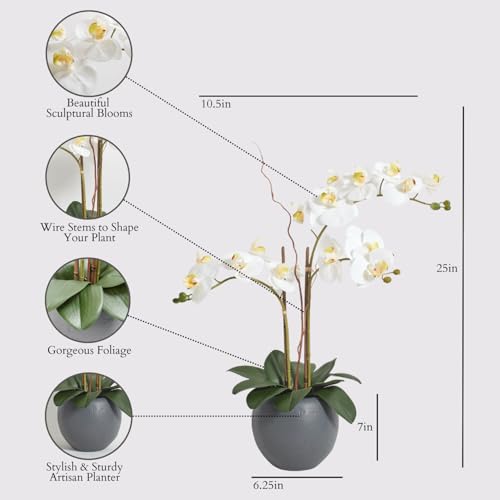 Image of CG Hunter Faux White Orchid Plant, Premium Artificial Indoor Flower Display Stands 25-Inches with Beautiful Sculptural Blooms and Foliage That Lasts Forever, Grey Planter Pot Included