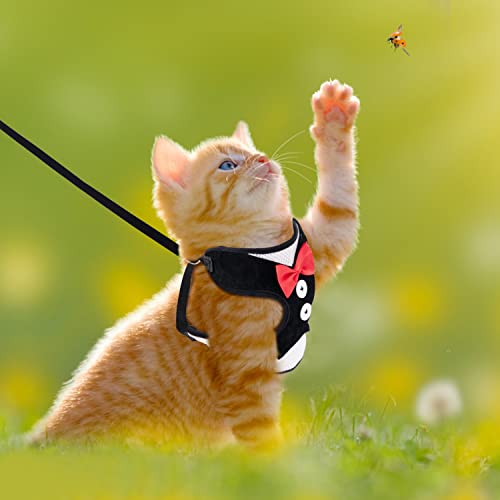 Nobleza Harnais et Laisse pour Chat, Chat Réglable Résistant à l'Évasion, Robes de soirée pour Chiot Chaton des Petits Animaux de Compagnie - Image 8