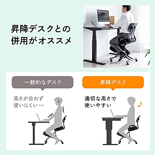 イーサプライ バランスチェア 大人用 EEX-CHB01