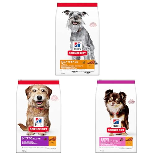 yZbgzqY TCGX_CGbg hbOt[h VjA Cg  7Έȏ `L 12s p hC 얞 + qY TCGX_CGbg hbOt[h VjAvX  10Έȏ `L 12s p hC + qY 