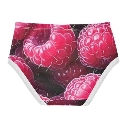 Cotton Girls Underwear Toddlers Digital Fresh Raspberries Little Girl Panties Aesthetic Briefs Girls Undies 2t2