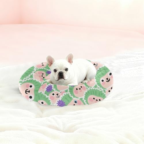 Couchage chien chat lit antidérapant motif hérisson vert taille M confortable