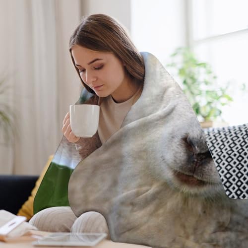 Couverture polaire chaude pour lit : en finir avec le froid grace au motif mouton - 7