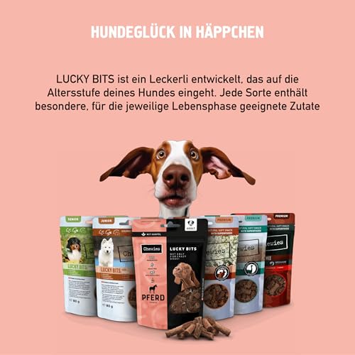Chewies Lucky Bits Pferd Adult Hundeleckerli - Hunde-Leckerlis getreidefrei & Soft mit viel Protein und Superfoods wie Bierhefe oder Ginkgo, ohne Zucker (80 g)