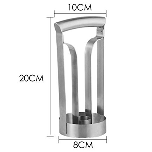 gazechimp Ferramenta de Cozinha Fácil aço Inoxidável Abacaxi Corer Slicer Cortador Descascadores