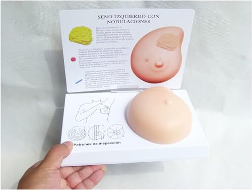 Modèle de cancer de poitrine en silicone pour examen de nodule mammaire
