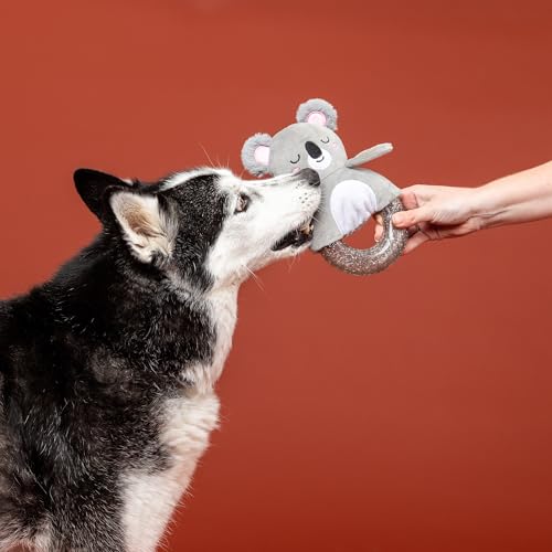 Fringe Studio Juguete Mordible para Perros Pack de 2 miniatura 4