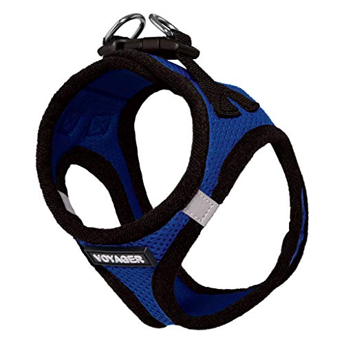 Image of Best Pet Supplies Voyager Step-in Air Dog Harness - All Weather Mesh Step in Vest Harness for Small and Medium Dogs Royal Blue Base, XXXS (Chest: 10-11.5 inch)