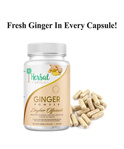 Ginger Supplement (Zingiber Ofiicinale) | Premium Sort Of Ginger Root | 100% Natural And Premium | 100 Vegan Capsule - Each 500Mg #TOP22