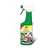 Produktbild NEUDORFF Spruzit AF OrchideenSchädlingsFrei 250 ml