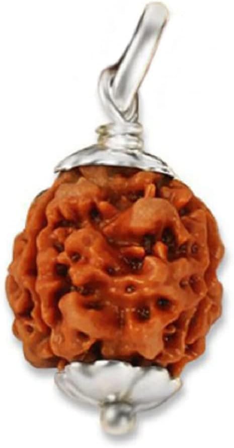 Ganesha Arts 3 Mukhi Rudraksha From Nepal 20mm-22mm Silver pendent Lab Certified, 14mm-16mm, Wood, No Gemstone-image-30