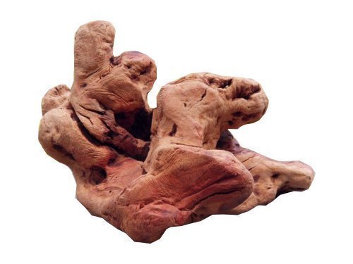 HTC Original TORGAS® Kauwurzel aus Portugal- Größe L