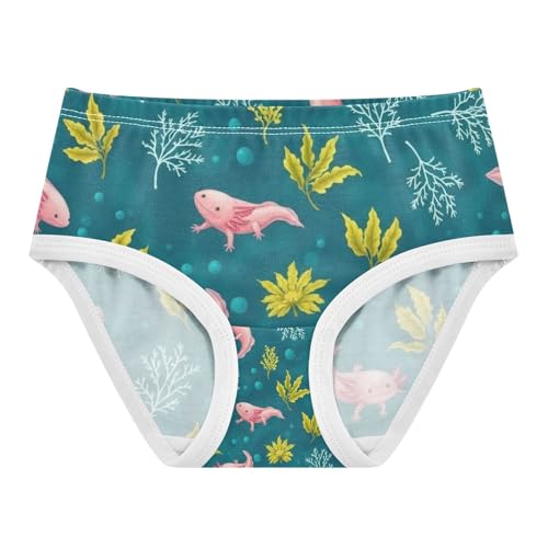 Kids Underwear, Cute Axolotls Toddler Girl Briefs, Girls' Cotton Brief Underwear, 2T–8 Years