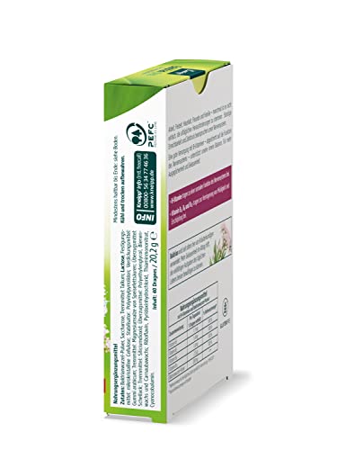Kneipp Baldrian plus Nervenvitamine – B-Vitamine unterstützen die normale Funktion des Nervensystems – Nahrungsergänzungsmittel - 40 Dragees