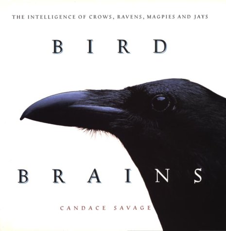 Bird Brains: The Intelligence of Crows, Ravens,... 1550545655 Book Cover