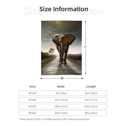 Couverture portable éléphant 3D cadeau original hiver doux