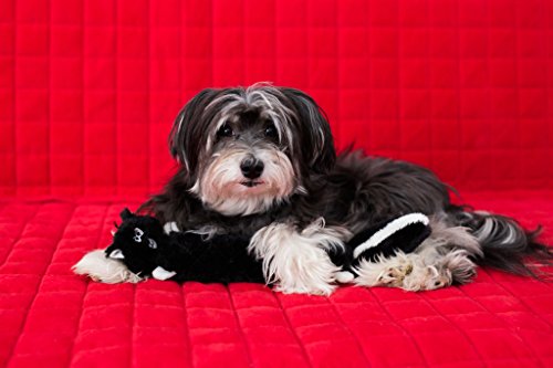 Zippy Paws Zp236 Jigglerz - Skunk Gioco