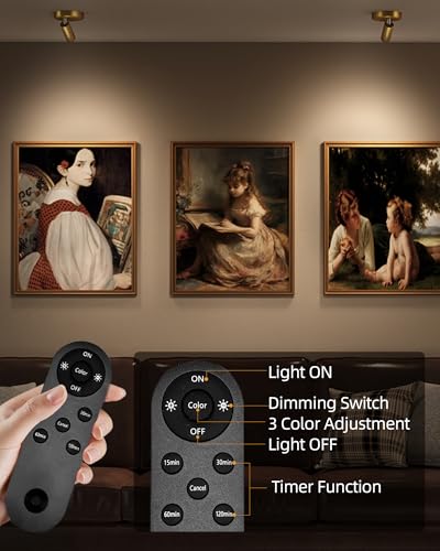 Image of EZVALO LED Spotlight Indoor, 5500mAh Rechargeable Battery-Powered Uplights Indoor, Wireless Mini Art Accent Spot Lights with Remote, for Plants, Display, Painting, Artwork, Portrait (2-Pack-Gold)