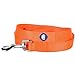 Blueberry Pet Essentials Florence Orange Dog Leash for X-Small -5' * 3/8