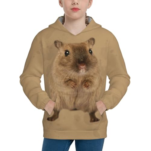 Cute Hamster Boy, Girls Sports Shirt Youth Pullover Fashion Hooded Sweatshirt3