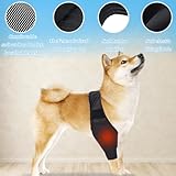 EIHI Kniebandage Hund Hinterbein für das Linke Bein - Hergestellt aus Neopren,für Kreuzbandriss,Bänderverletzungen,Patellaluxation oder Osteoarthritis - Größe M
