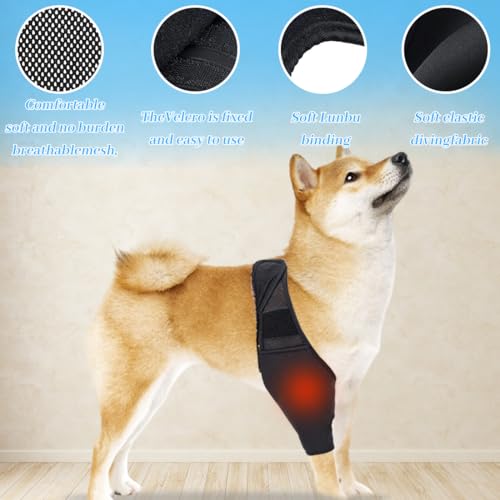 EIHI Kniebandage Hund Hinterbein für das Linke Bein - Hergestellt aus Neopren,für Kreuzbandriss,Bänderverletzungen,Patellaluxation oder Osteoarthritis - Größe M