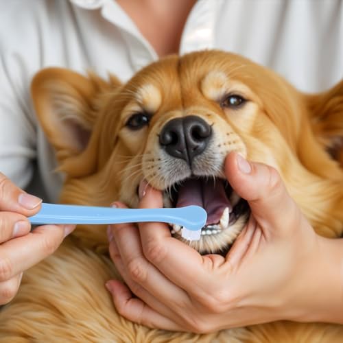 Image of oruola 8Pcs Kitten Toothbrush,2 Styles Soft Hair Small Dog Toothbrush,Dental Hygiene Pet Toothbrush to Clean Pet Teeth,Reduce Tartar Formation & Bad Breath for Small to Large Dogs,Cats,and Most Pets