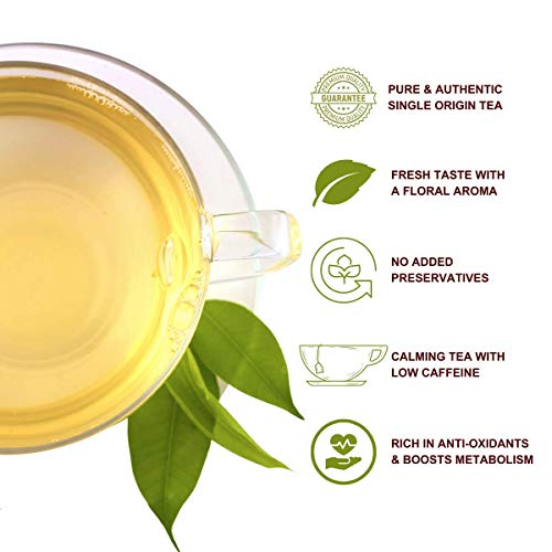 Image of Premiers Darjeeling Green Tea, Single-Origin Garden-Fresh Green, Calm & Refreshing Cup, Magic Tea Wands Stick Infuser, 12 Wands, 30 g, White Box