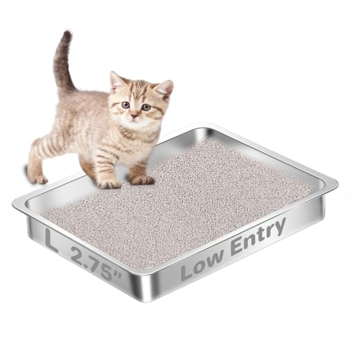 Amibud Low Entry Stainless Steel Box