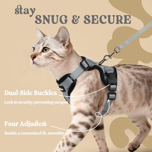 Image of rabbitgoo Cat Harness and Leash Set, Escape Proof Vest, Grey | Soft Breathable Mesh, Easy Adjustable Fit, Snap Buckles, Sturdy Clip, Reflective Strips, for Small & Average Cats Walks, Xs