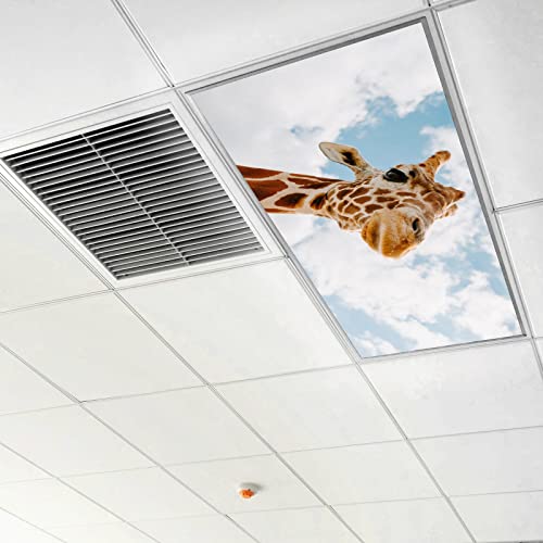 Image of Fluorescent Light Covers for Classroom Ceiling Lights - 2x4ft Backlit Film for Fluorescent Fixtures, Easy to Install - School, Office, Sensory, Improve Focus, Eliminate Headaches - Giraffe
