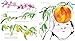 Every Peach Is a Story: A Picture Book