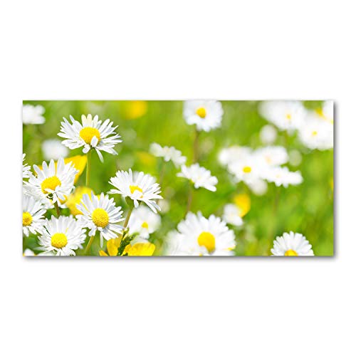 Image sur verre fleurs pour cuisine moderne verte 120x60
