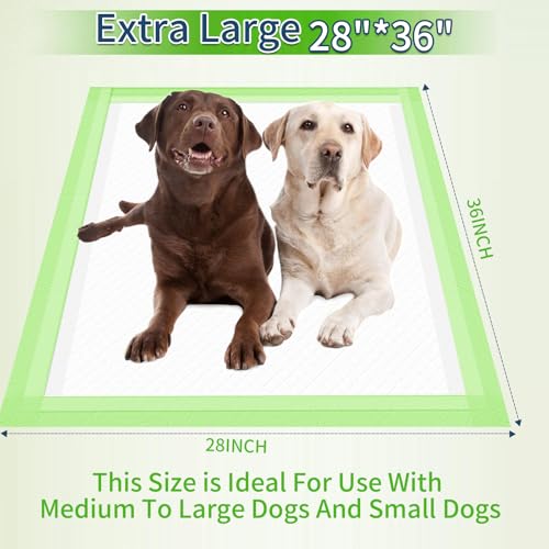 Dog Pee Pads Extra Large 28x36 Xlarge Training Puppy Pee Pads Super Absorbent Leakproof Xl Disposable Pet Piddle Pad and Potty Pads for Dogs Puppies Doggie20 Count Cucciolini Doodles Dog pee pads extra large 28x36 x large training puppy pee pads super absorbent leak proof xl disposable pet piddle pad and potty pads for dogs puppies doggie20 count cucciolini doodles