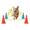 Dog Jump Agility Training Set Puppy Agility Training Hurdle 10 Cones 5 Poles Combo for Backyard Adjustable Obstacle Training Course Equipment Outdoor Indoor