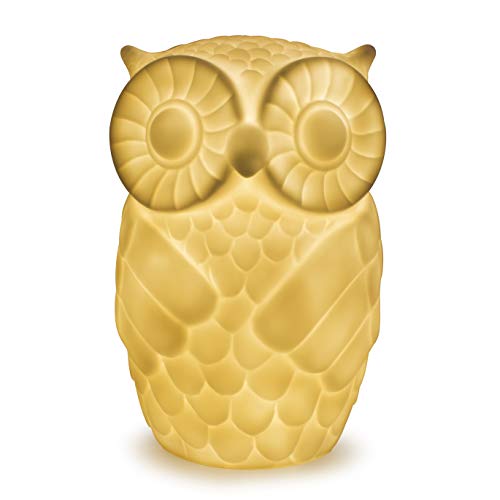 Aappy búho Lámpara con temporizador, Serenity Battery Powered Porcelain Wise Minerva de mesa para dormitorio Decor (Warm white 1)