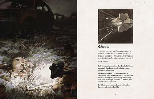 Destiny Grimoire Anthology, Volume VI: Partners in Light