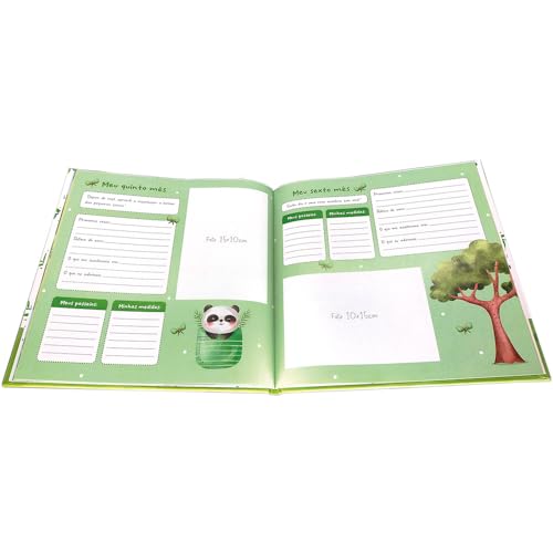 Livro de recordações: Primeiro ano do bebê: Menino