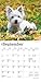 West Highland White Terrier Puppies | 2026 7 x 14 Inch (Hanging) Monthly Mini Wall Calendar | BrownTrout | Animals Dog Breeds Puppy