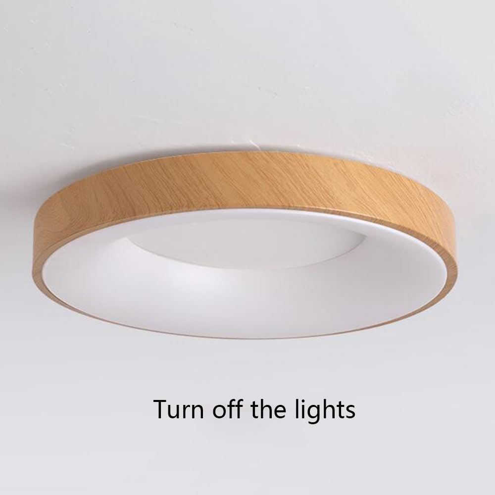 Plafoniera LED Rotonda Minimalista Luci Da Soffitto Nordiche Calde