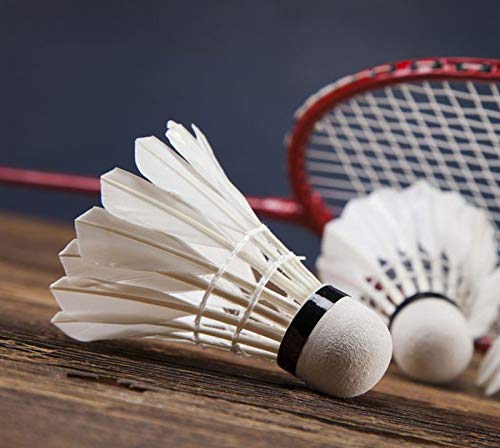 See full amazon price history chart for SPOCCO | Long Lasting 10 Pcs Premium Goose Feather Badminton Shuttlecocks, Q-6, Design for Indian Climate Feather Shuttle - White (Medium Slow, 76, Pack of 10) SPOCCO | Long Lasting 10 Pcs Premium Goose Feather Badminton Shuttlecocks, Q-6, Design for Indian Climate Feather Shuttle - White (Medium Slow, 76, Pack of 10) (B09H5ZLGT7) Amazon Price History, Amazon Price Tracker