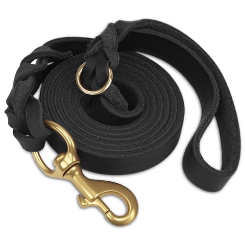 Joytale Hundeleine Leder, Strapazierfähige Lederleine Für Hunde Mit Stabilem Messinghaken, Weich Und Langlebig, Geeignet Für Kleine, Mittlere Und Große Hunde(Schwarz, 120cm×2cm) Joytale Hundeleine Leder, Strapazierfähige Lederleine Für Hunde Mit Stabilem Messinghaken, Weich Und Langlebig, Geeignet Für Kleine, Mittlere Und Große Hunde(Schwarz, 120cm×2cm)