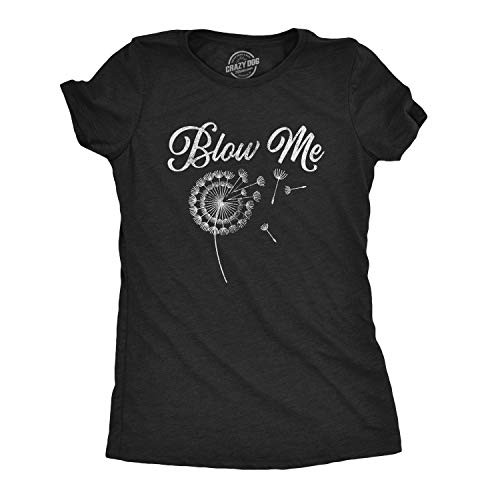 Some See A Weed Others See A Wish Women's T-Shirt – Dandelion Saying Graphic Tee – Casual Short Sleeve Top – Grey