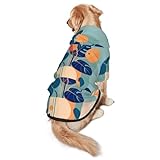 Sudadera con capucha de bambú azul y naranja para perro, cálida y ligera, adecuada para que las mascotas lo usen en otoño e invierno