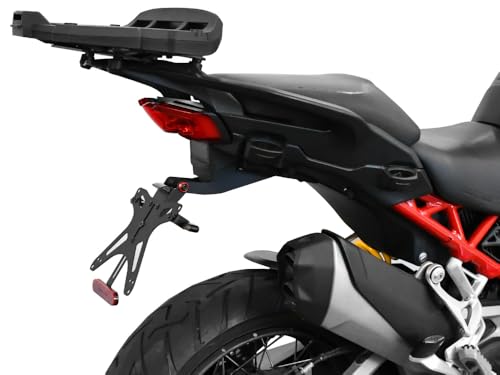 Luce targa INCLUSA nel kit (con attacchi universali)