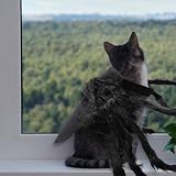 HONMOK Spinnen Kostüm Hund Spinne Hundekostüm Spinnenkostüm Haustier Spinnekostüm Katze Gruselige Spider Kostüm Halloween Horror Cosplay Zubehör für Hund Katze Haustier Fasching Karneval (M Size)