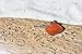 Custom Carnelian Stone Tie Tack Handmade - Quantity of 1