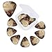 Inspirational Quotes Print Guitar Picks 12 Pack Guitar Plectrums with Storage Box Bass Picks For Acoustic Guitar Bass Electric Ukulele Includes 0.46mm, 0.71mm, 0.96mm