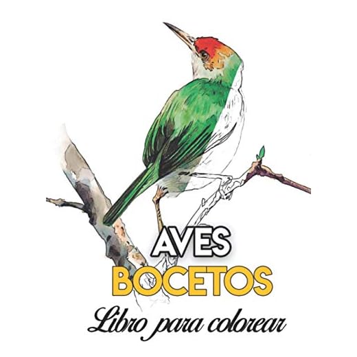 Aves libro para colorear: libro de dibujos para pintar acuarela fácil acrílico oleo