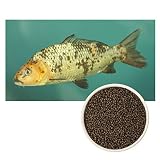 Calidad: contiene harina de alta calidad y harina de pescado, así como materias primas altamente digeribles y naturales, ideal para un bonito color, buena condición y fuertes defensas. Además, es fácil de digerir y carga el agua muy baja
